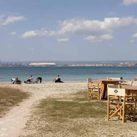 Valentina Taranto